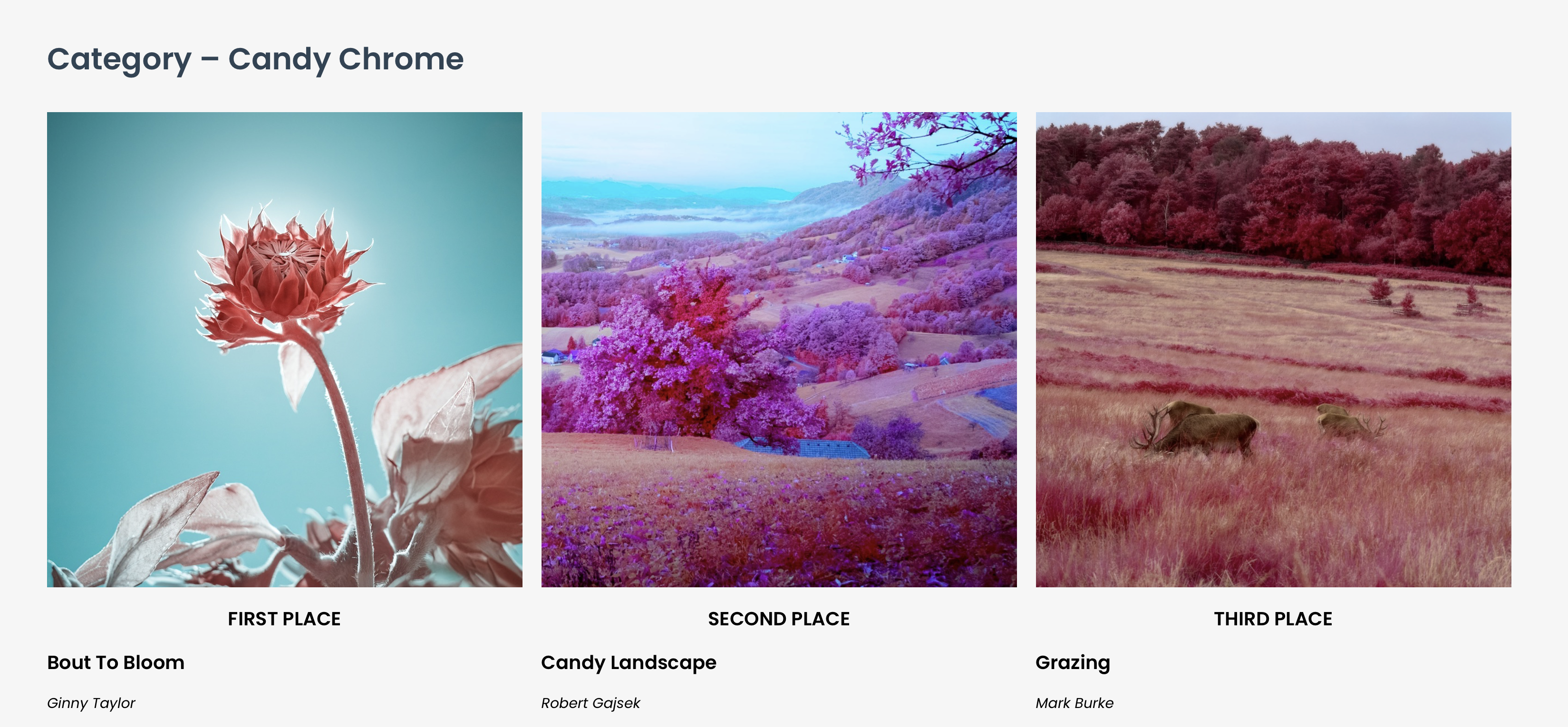 nagrajene v tehniki candy